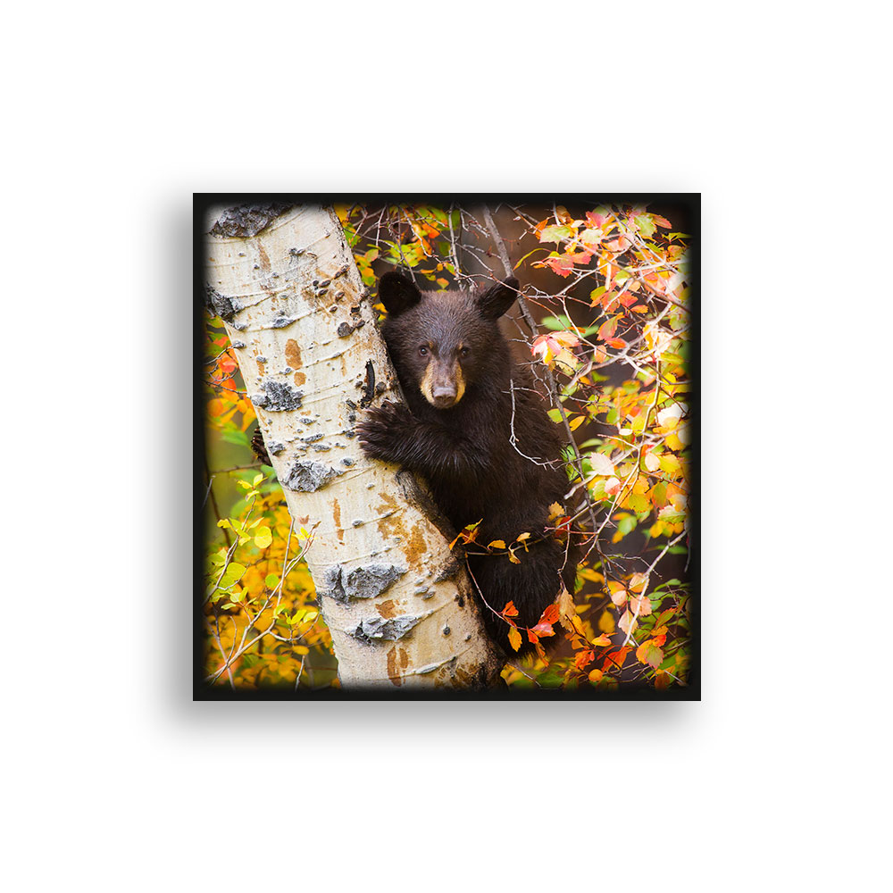 WL22 2x2 Slate Magnet